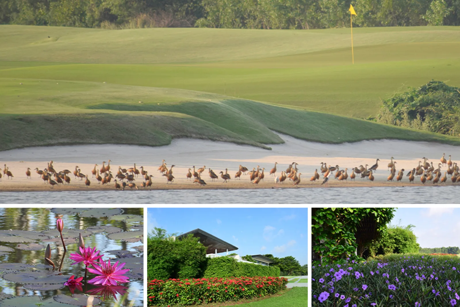 Ayodhya Links Golf Club — golf course in Ayutthaya — photo 7 of 8