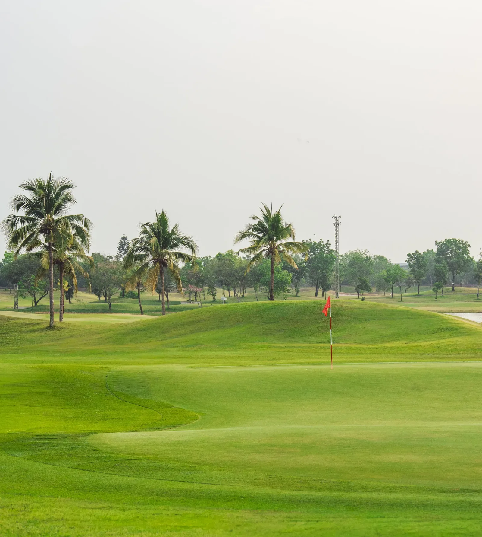 Ayutthaya Golf Club — golf course in Ayutthaya — photo 3 of 8