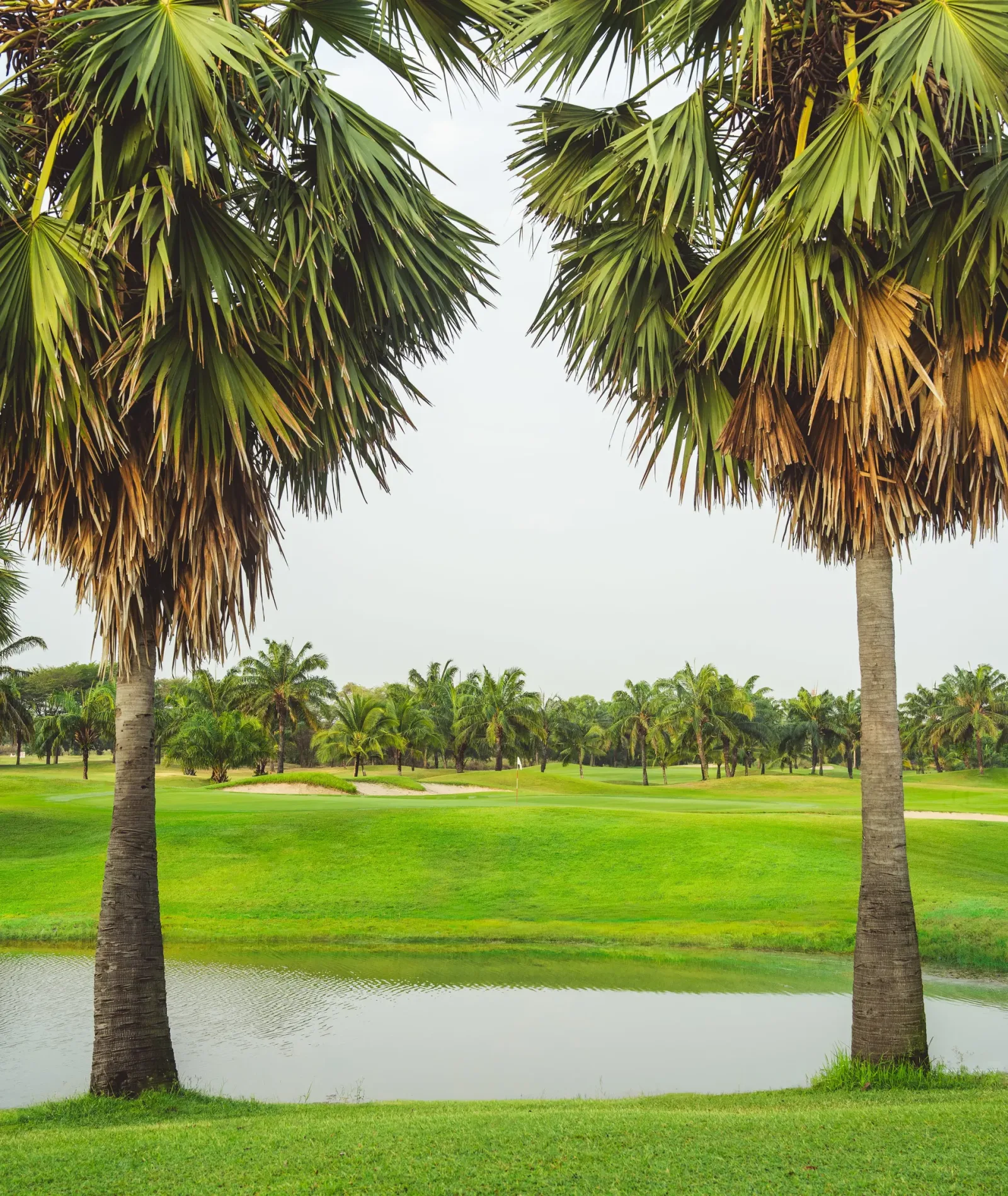 Ayutthaya Golf Club — golf course in Ayutthaya — photo 5 of 8