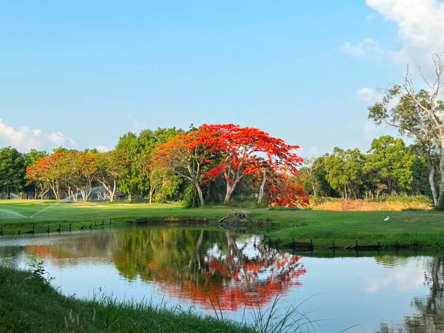Bangpra International Golf Club — golf course in Chonburi — ภาพที่ 5 จาก 7