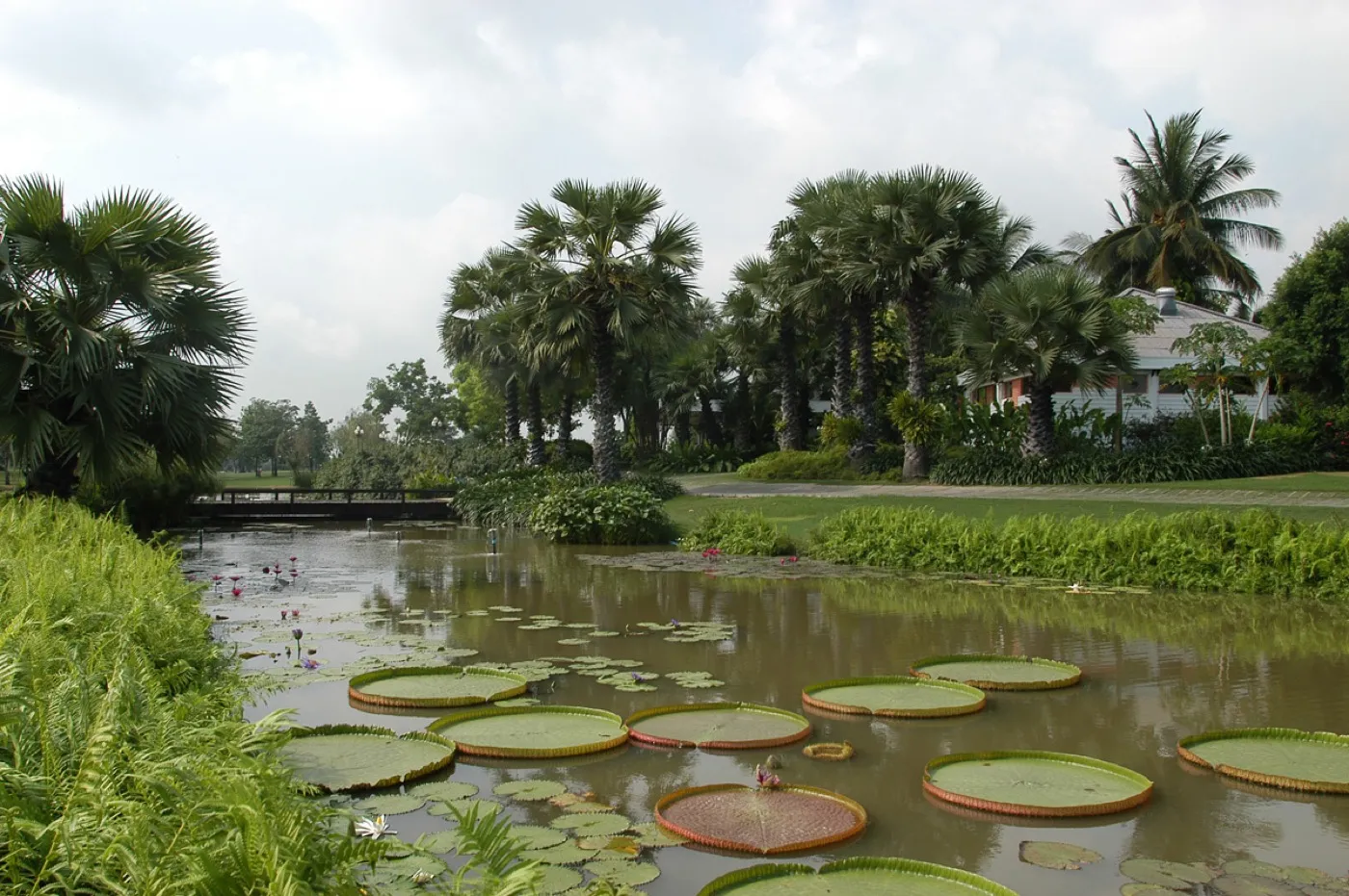 Krung Kavee Golf Course & Country Club — golf course in Pathum Thani — ภาพที่ 6 จาก 14