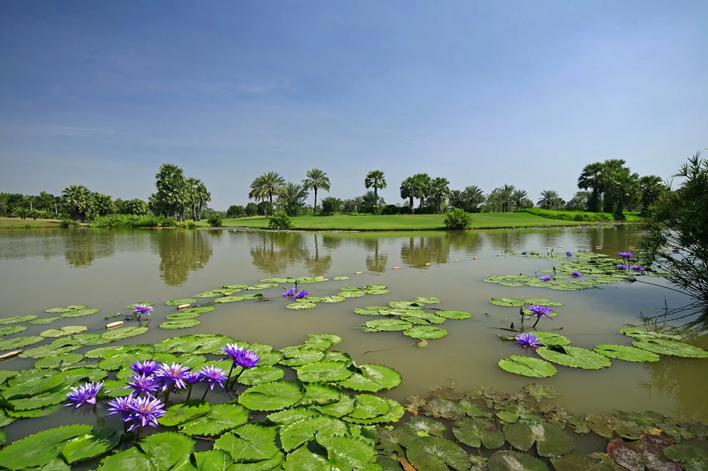 Krung Kavee Golf Course & Country Club — golf course in Pathum Thani — ภาพที่ 7 จาก 14