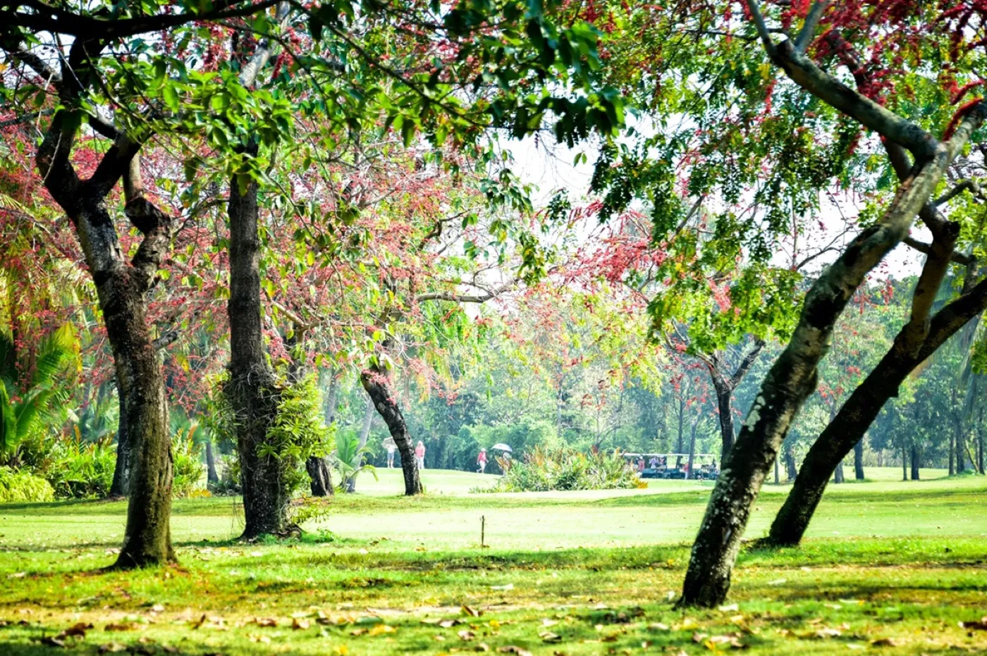 Krung Kavee Golf Course & Country Club — golf course in Pathum Thani — ภาพที่ 9 จาก 14