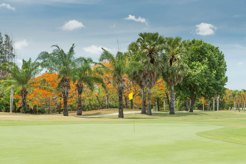 Lakewood Country Club — golf course in Bangkok — photo 1 of 5