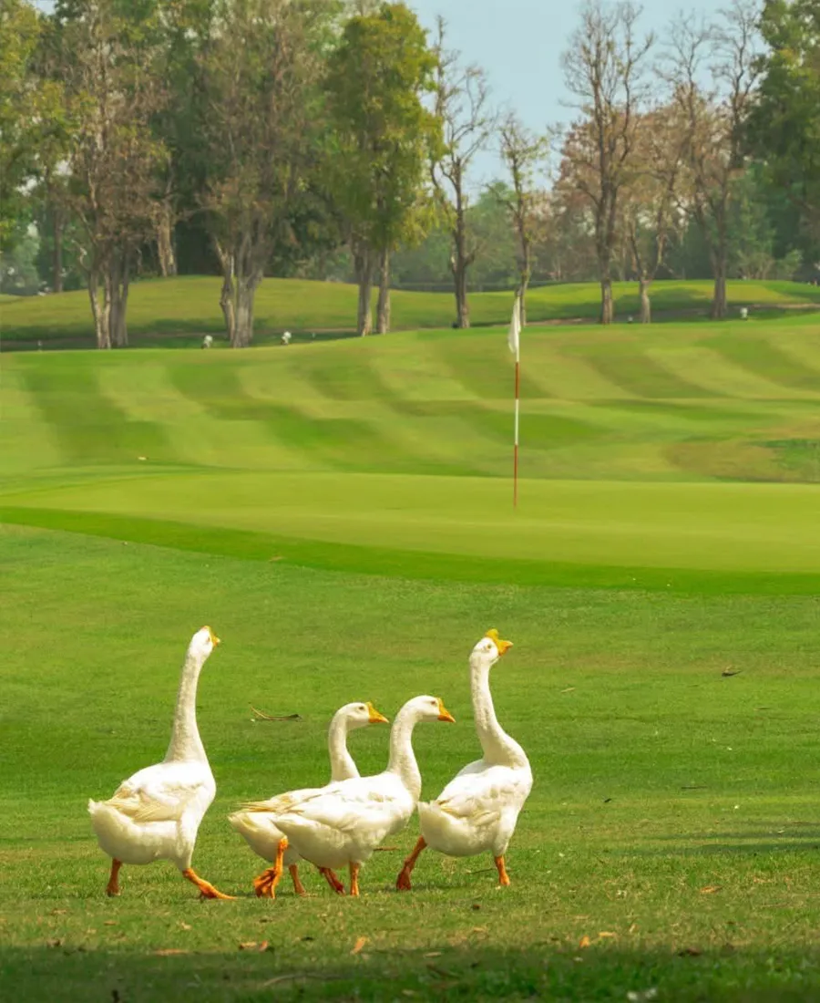Rancho Charnvee Resort & Country Club — golf course in Khao Yai — ภาพที่ 2 จาก 5